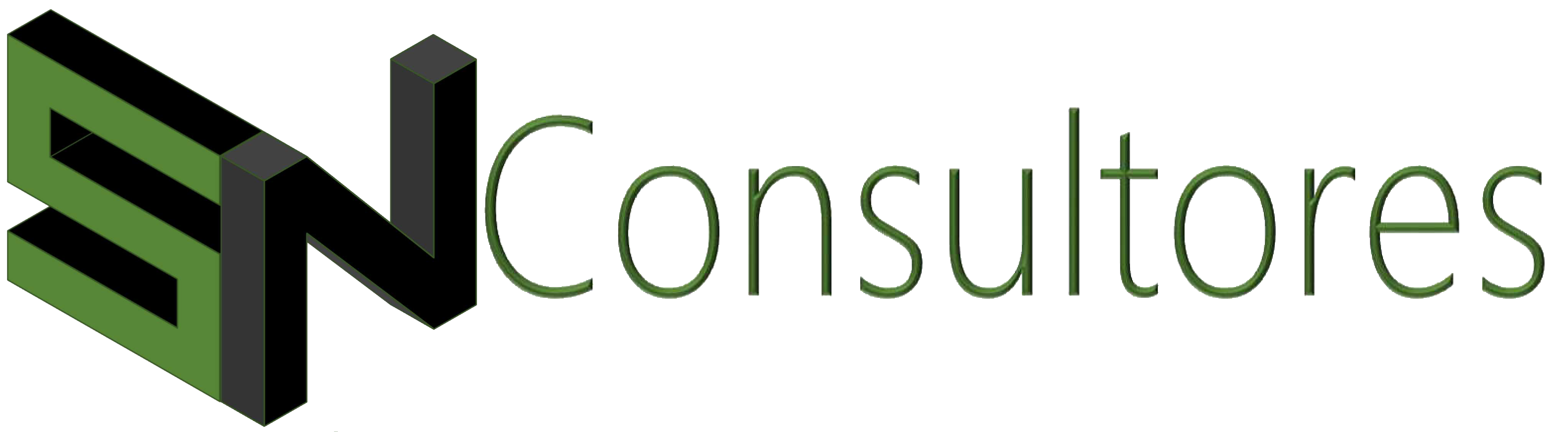 SN Consultores Logo